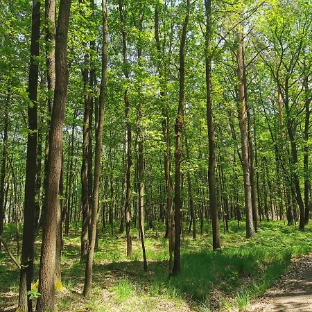 Σπίτι διακοπών Ulf Lauchhammer