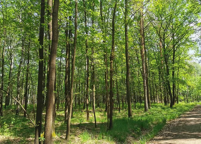 Nyaraló Ulf Lauchhammer